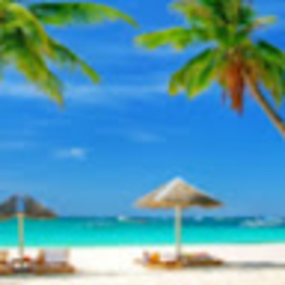 Meet your Posher, Paul - Picture 1 of 1